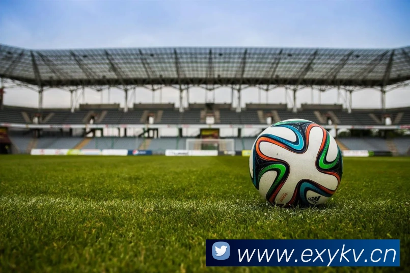 星空平台app官网平台生态图