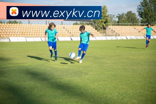 星空平台app官网APP 封面图